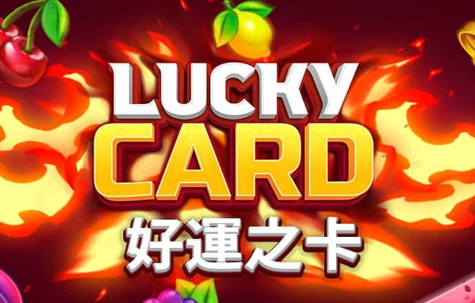 713贵宾会